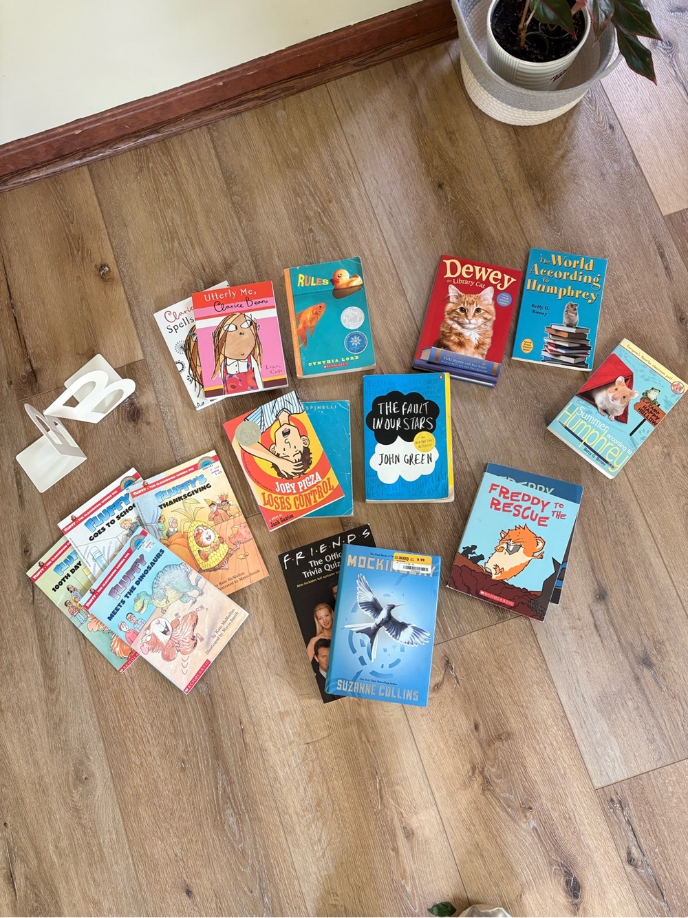 Book Bundle (metal book ends & 17 books)